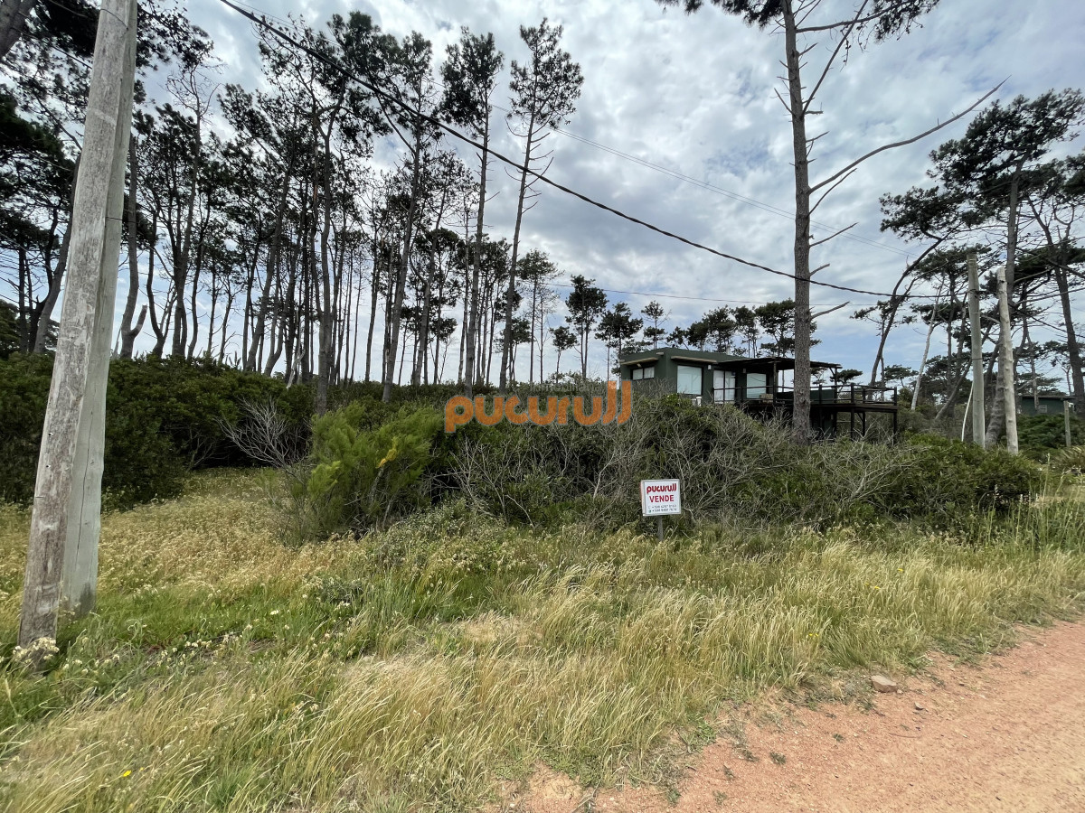 Terreno ID.1348 - Ocean Park. Oportunidad. 