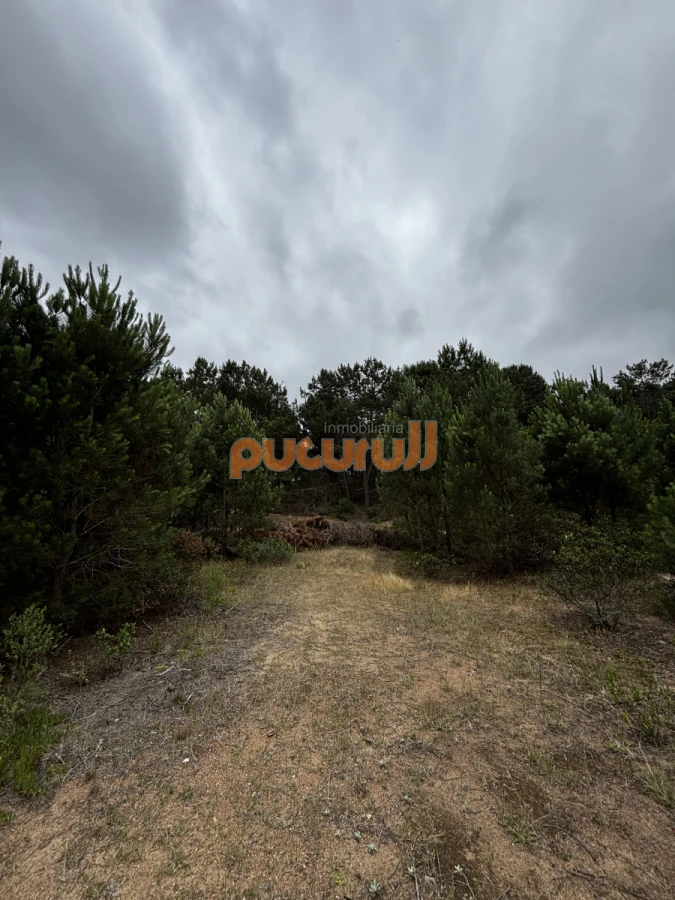 Terreno ID.1962 - Terreno en Punta Ballena, Chihuahua