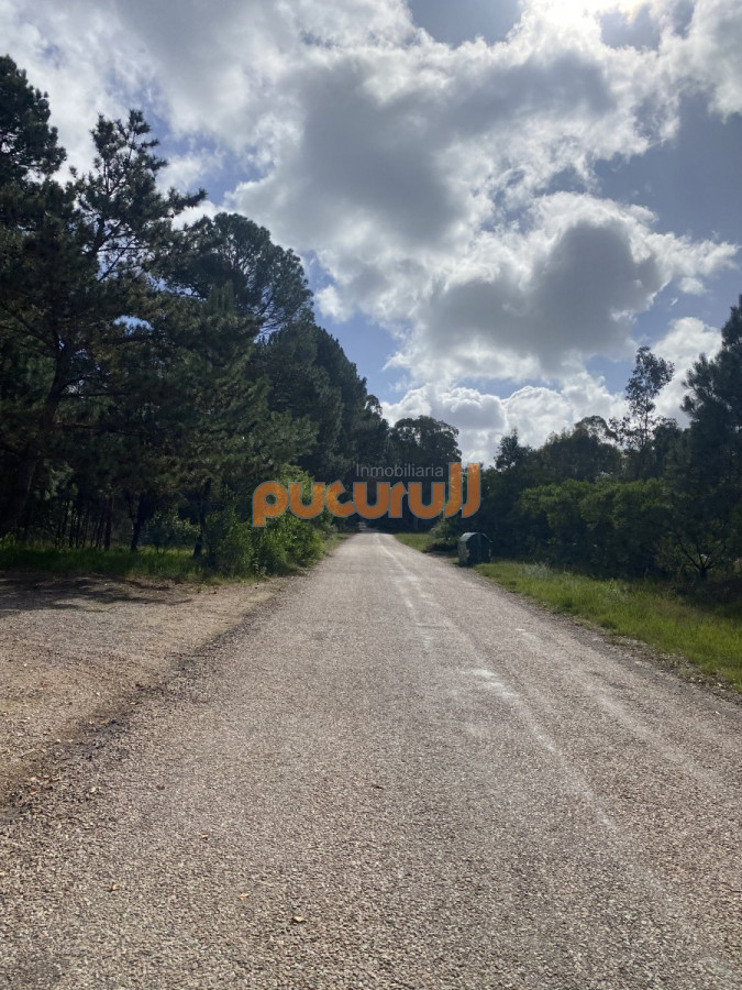 Terreno ID.1528 - Terreno en Portezuelo Bosque 