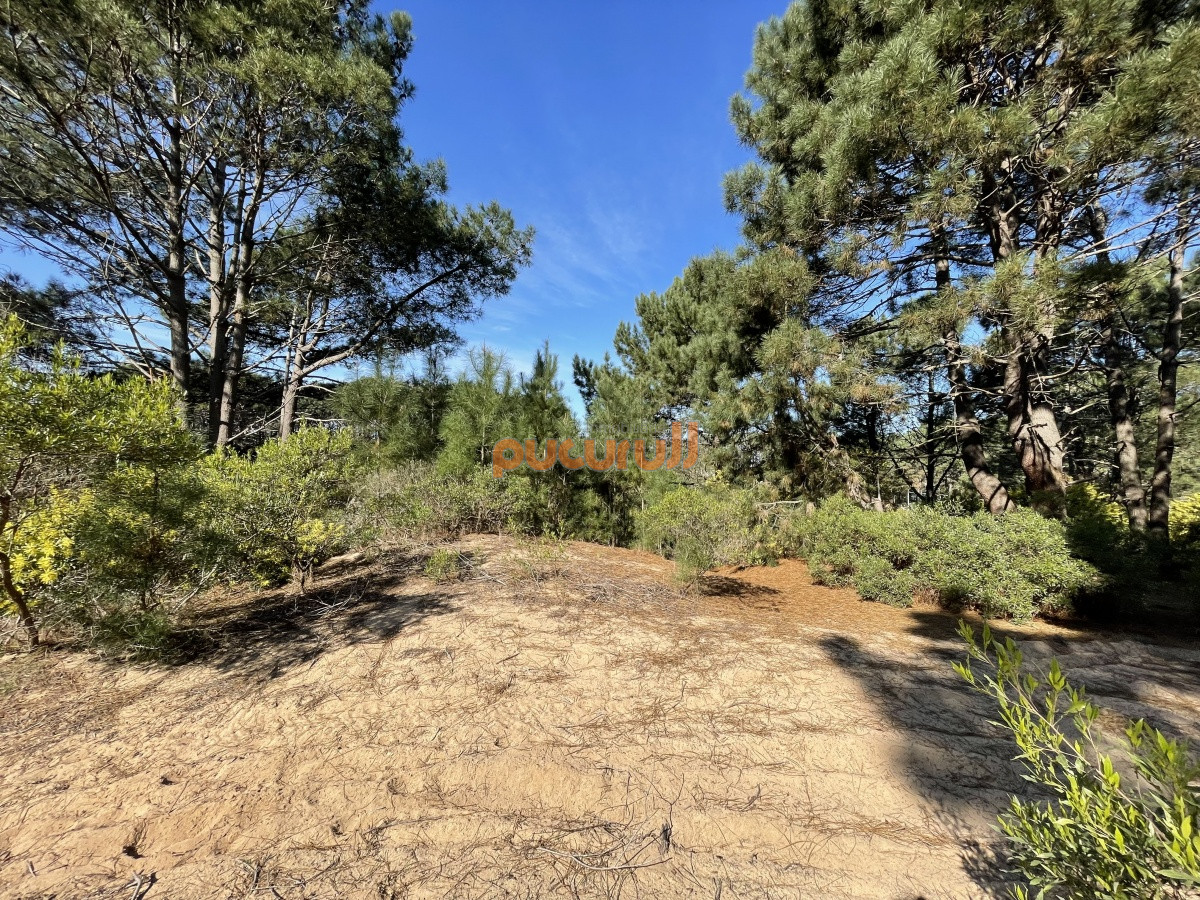Terreno ID.1353 - Terreno en Punta Ballena, Chihuahua