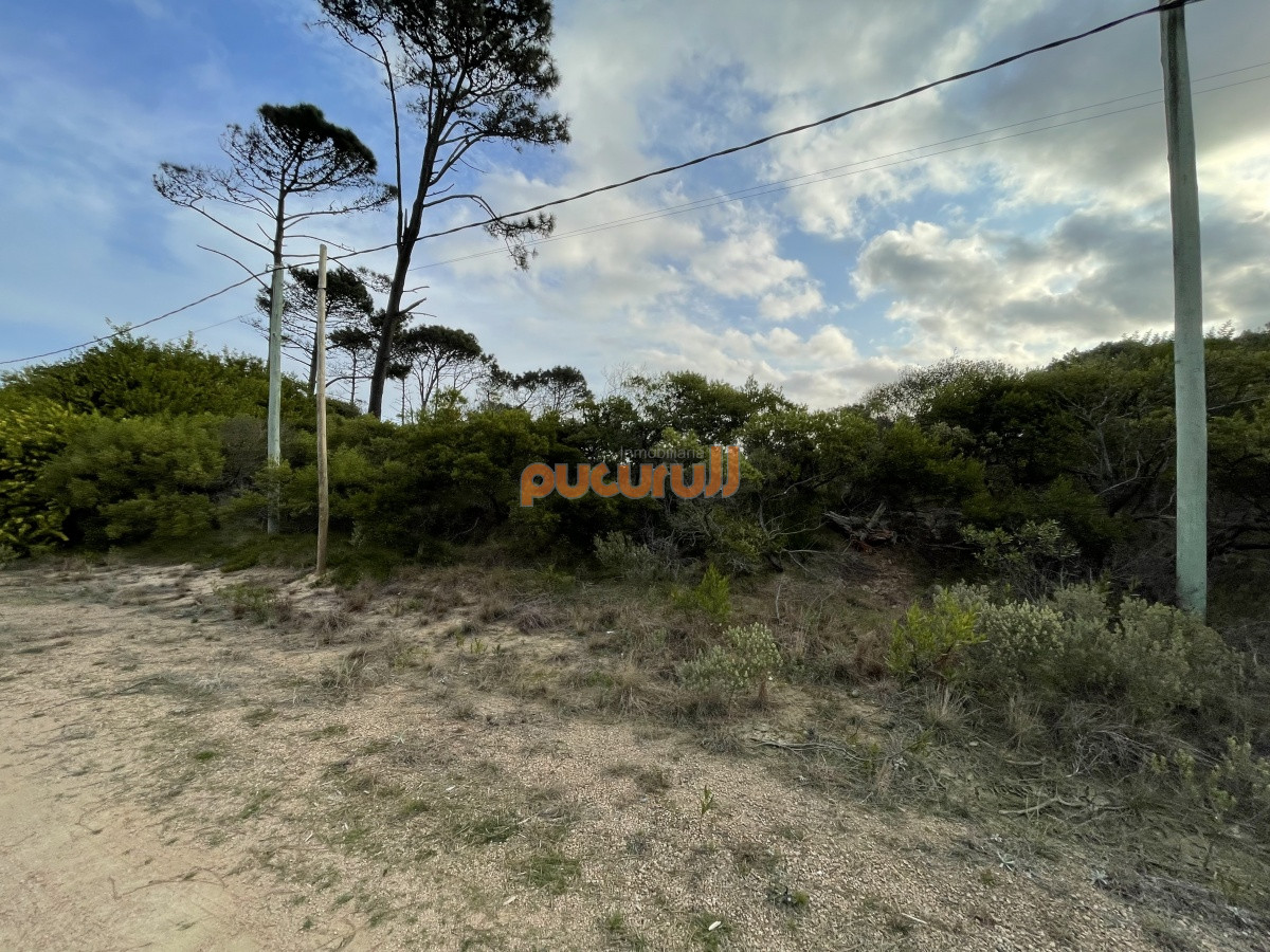 Terreno ID.740 - Chihuahua