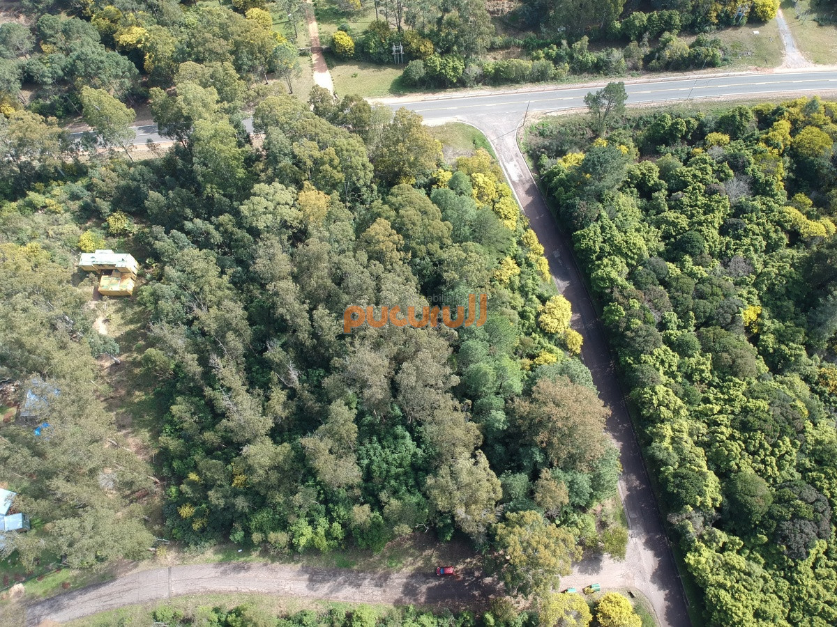 Las Cumbres - GoPunta - Portal Inmobiliario de Punta del Este - Maldonado