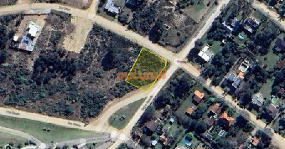 Tio Tom - GoPunta - Portal Inmobiliario de Punta del Este - Maldonado