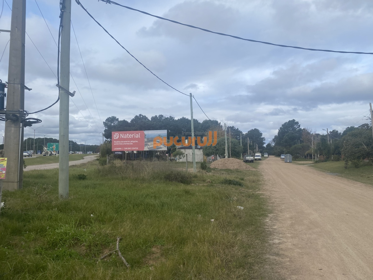 Tio Tom - GoPunta - Portal Inmobiliario de Punta del Este - Maldonado