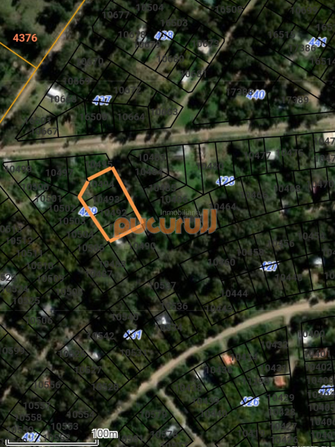 Sauce de Portezuelo - GoPunta - Portal Inmobiliario de Punta del Este - Maldonado