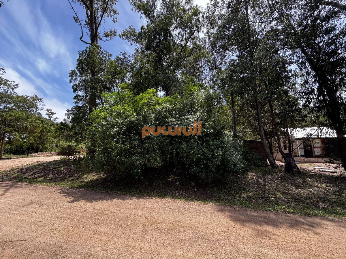 Terreno en Punta Ballena, Sauce de Portezuelo
