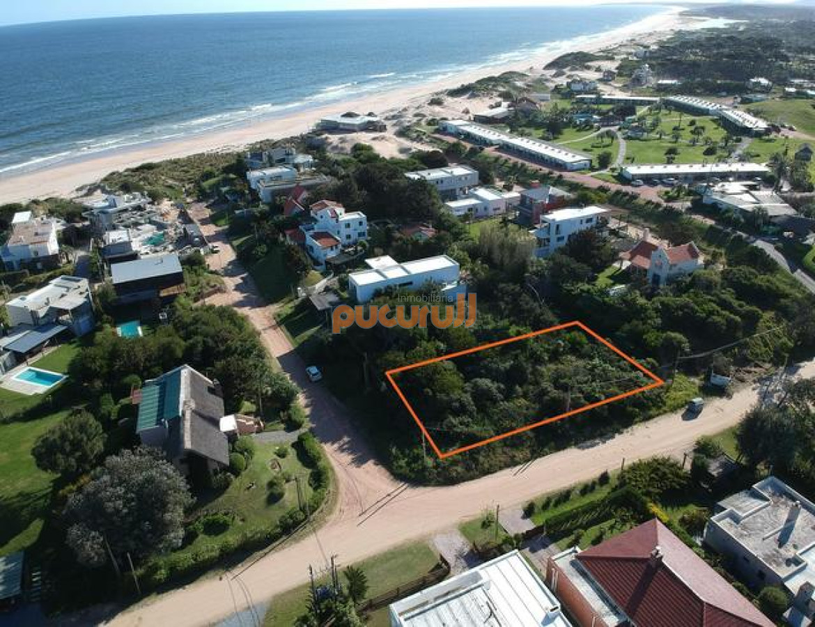 Tio Tom - GoPunta - Portal Inmobiliario de Punta del Este - Maldonado