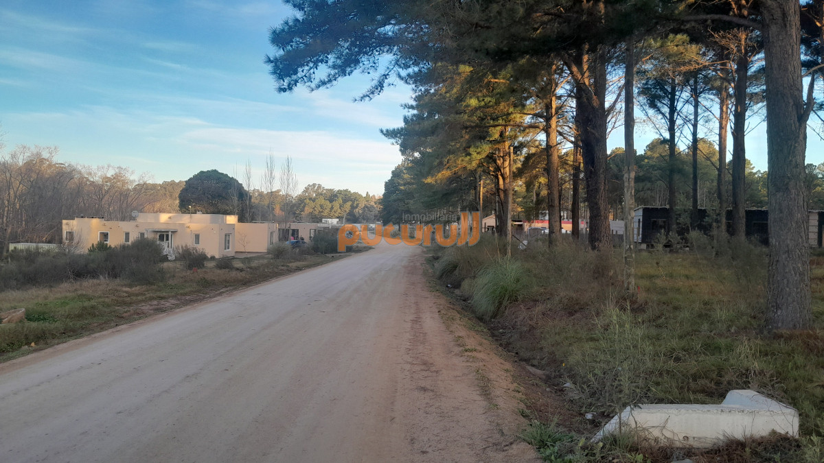 Maldonado - GoPunta - Portal Inmobiliario de Punta del Este - Maldonado