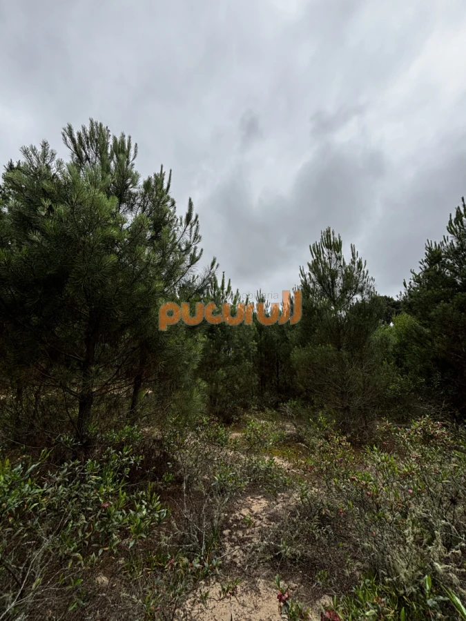 Terreno ID.1962 - Terreno en Punta Ballena, Chihuahua