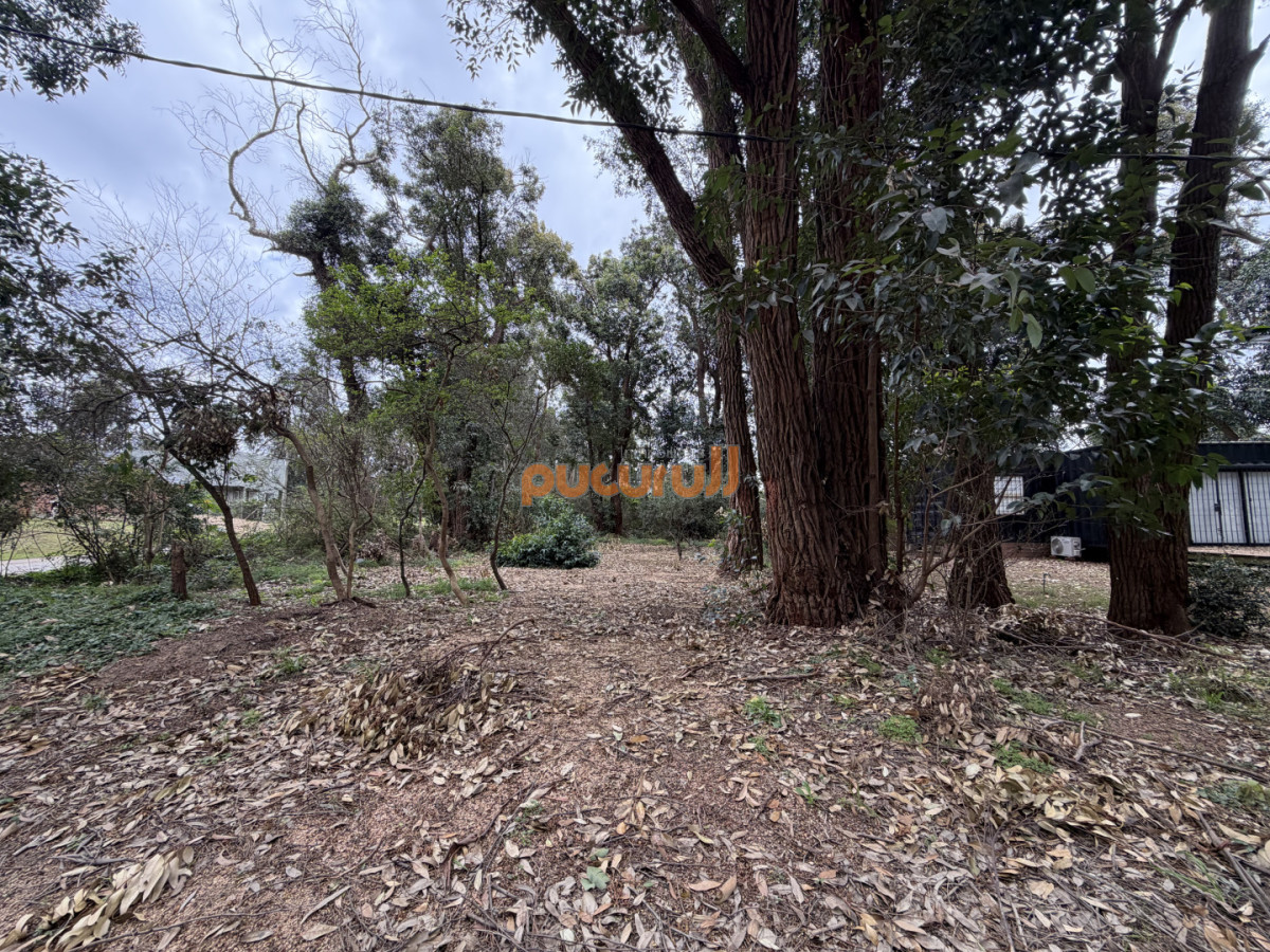 Terreno en Ocean Park - Punta Ballena