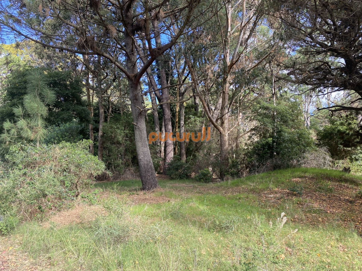 Terreno ID.1528 - Terreno en Portezuelo Bosque 