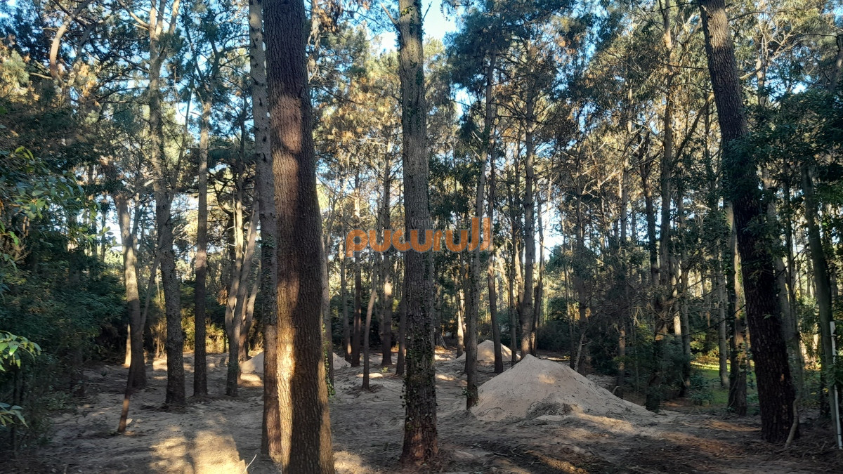 Terreno ID.1573 - Excelente Entorno de bosque!