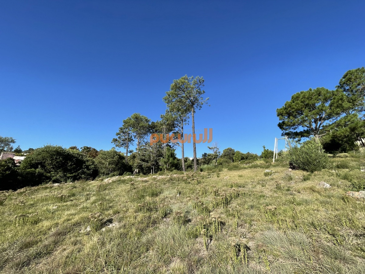 Terreno ID.936 - Terreno en Punta Ballena, Lomo de la Ballena