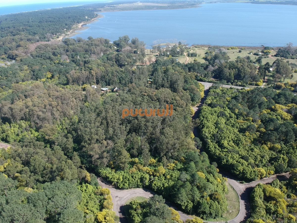 Las Cumbres - GoPunta - Portal Inmobiliario de Punta del Este - Maldonado