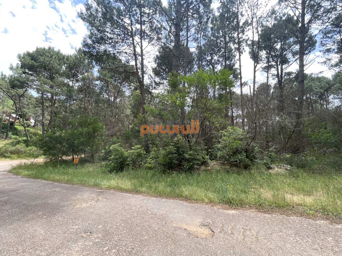 Terreno ID.1570 - Club del Lago 