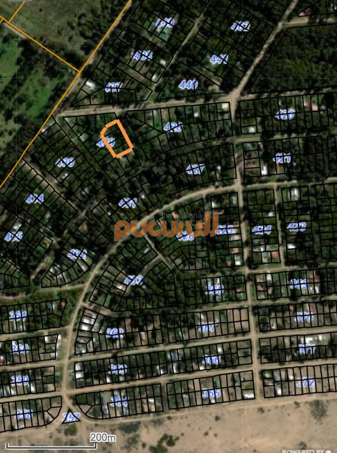 Sauce de Portezuelo - GoPunta - Portal Inmobiliario de Punta del Este - Maldonado