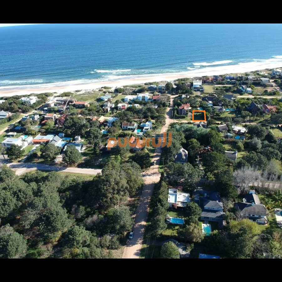 Tio Tom - GoPunta - Portal Inmobiliario de Punta del Este - Maldonado