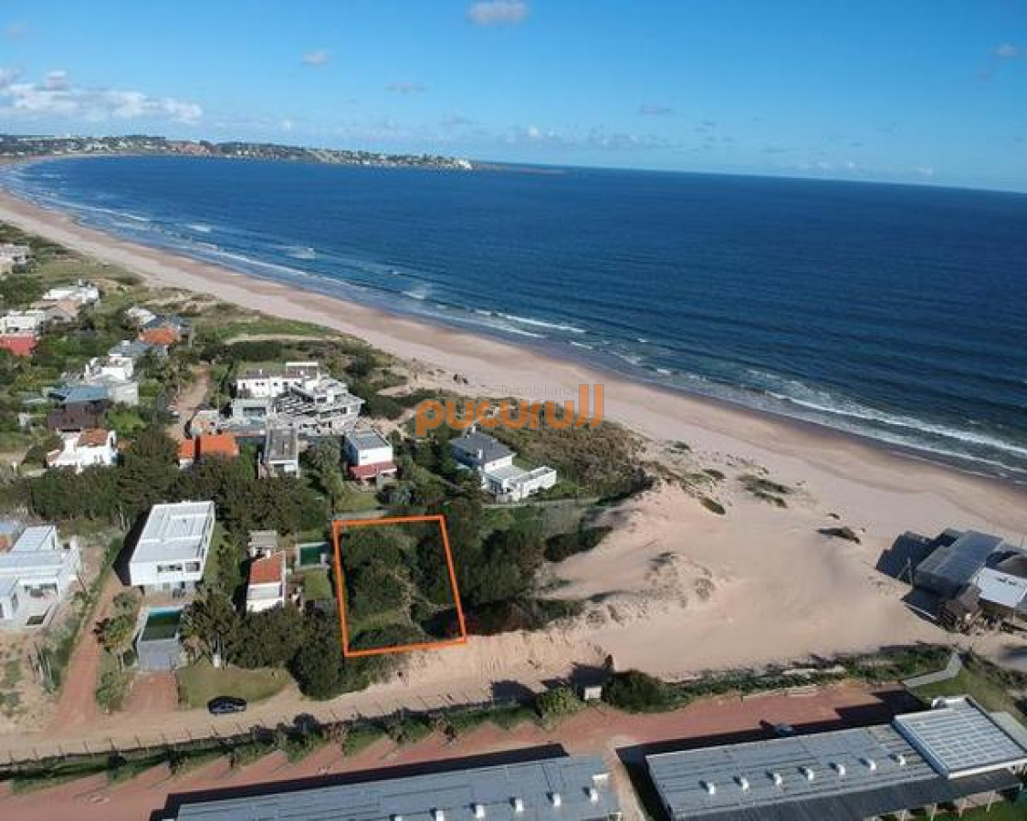 Tio Tom - GoPunta - Portal Inmobiliario de Punta del Este - Maldonado