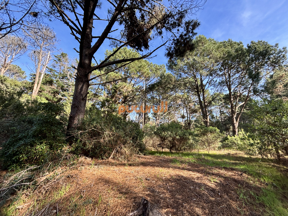 Club del Lago - GoPunta - Portal Inmobiliario de Punta del Este - Maldonado