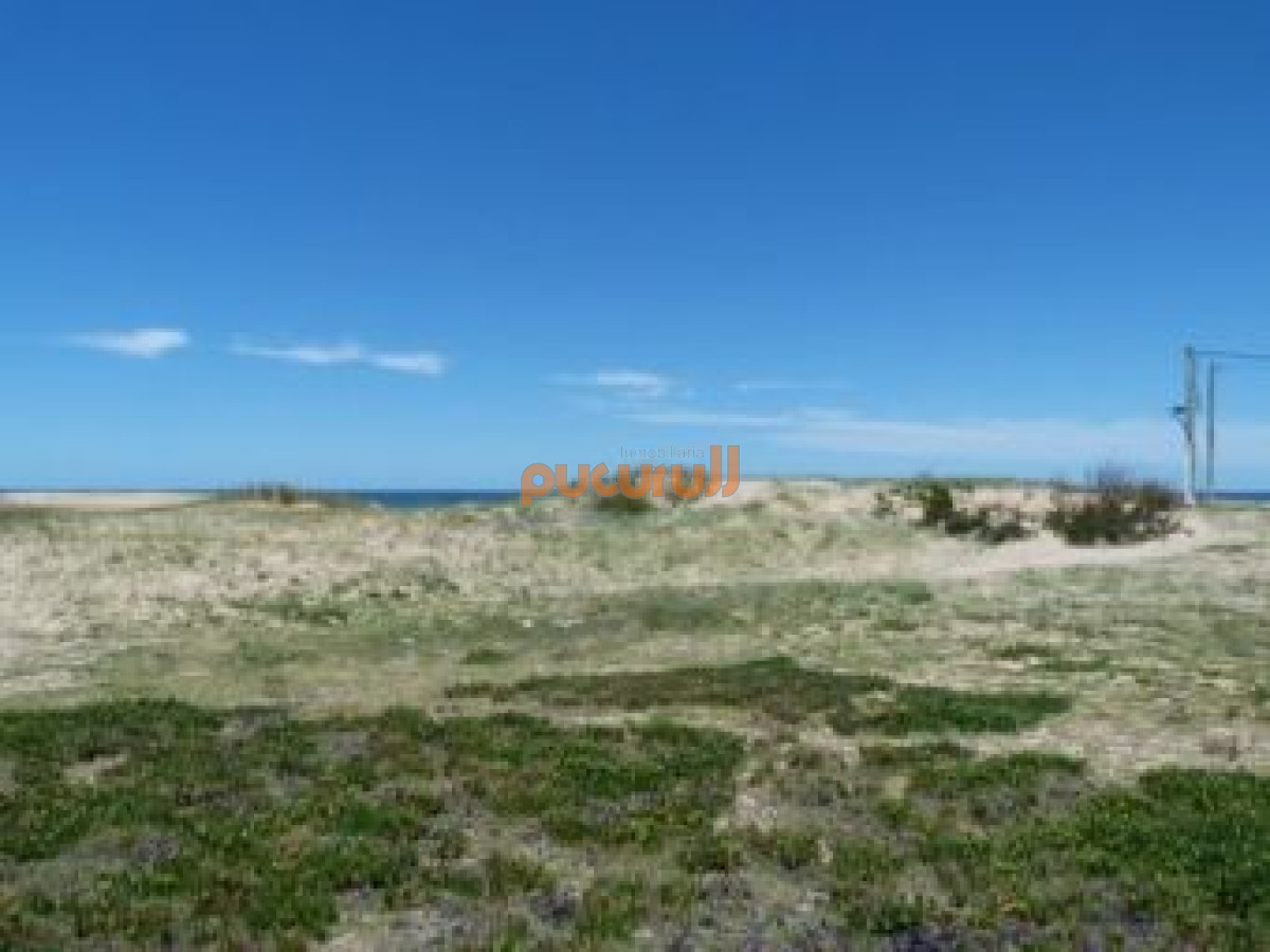 Terreno ID.648 - Terreno en Punta Ballena, Chihuahua