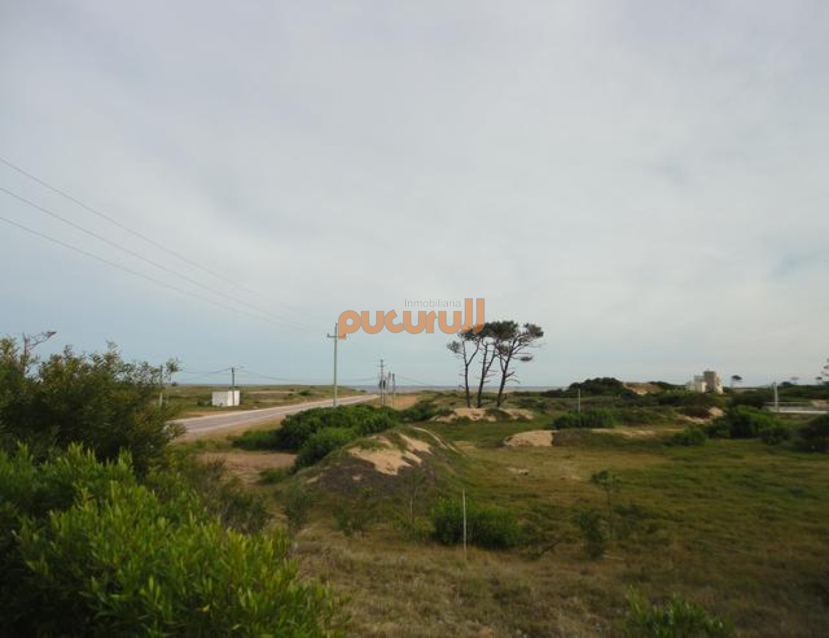 Terreno ID.720 - Terreno en Punta Ballena, Chihuahua