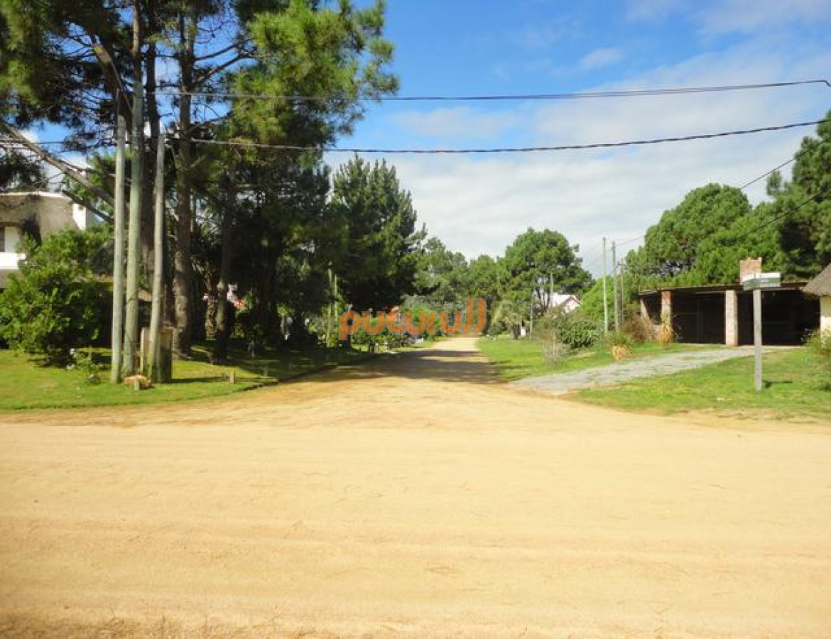 Tio Tom - GoPunta - Portal Inmobiliario de Punta del Este - Maldonado