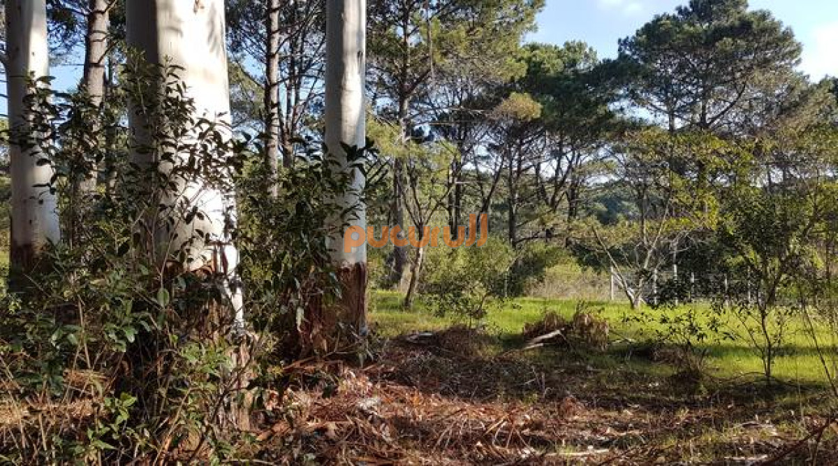 Terreno ID.914 - Club del Lago 