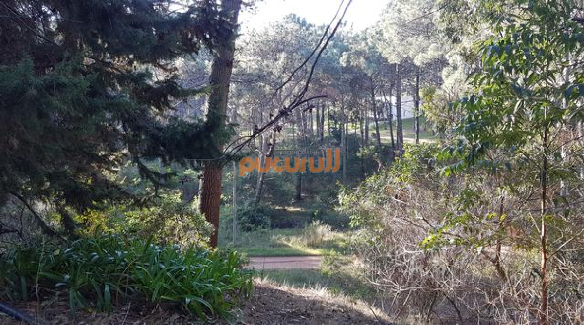 Terreno ID.914 - Club del Lago 