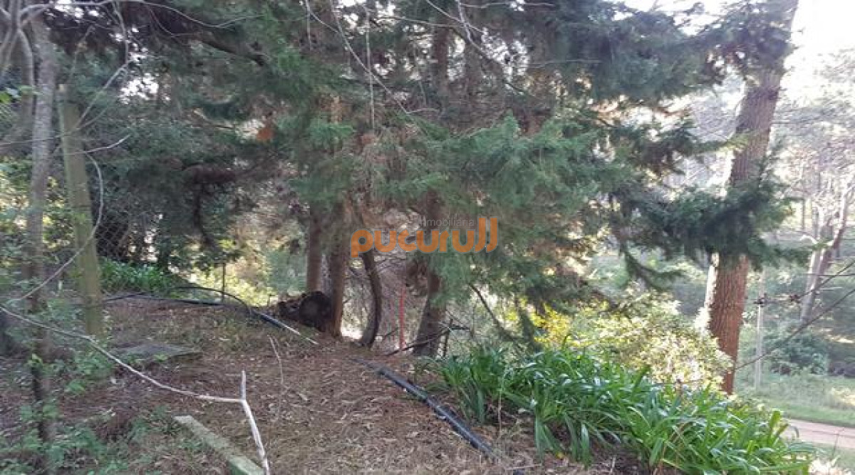 Terreno ID.914 - Club del Lago 
