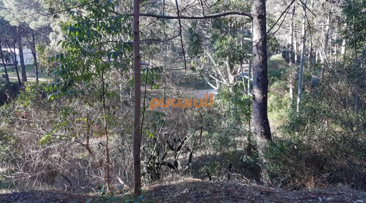 Terreno ID.914 - Club del Lago 