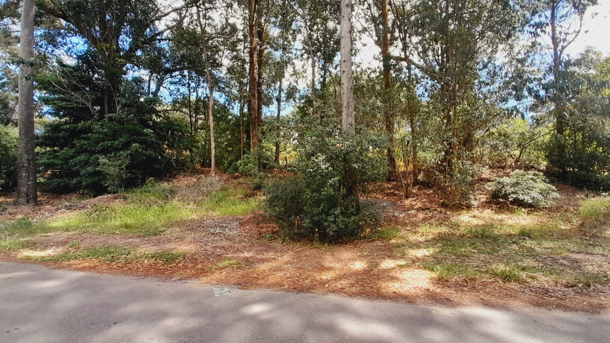 Terreno en Portezuelo Bosque