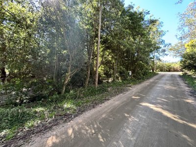 Terreno en Punta Ballena, Laguna del Sauce