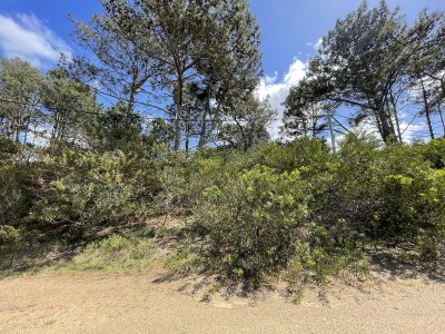Terreno en Punta Ballena, Chihuahua