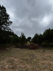 Terreno en Punta Ballena, Chihuahua