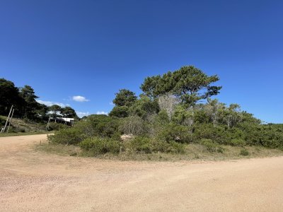 Terreno en Punta Ballena, Chihuahua
