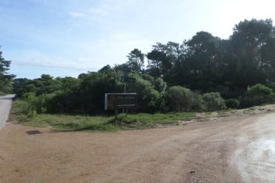 Terreno en Punta Ballena, Chihuahua