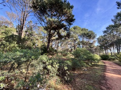 Terreno en Punta Ballena, Club del Lago