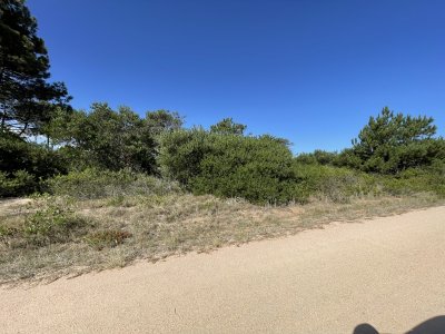 Terreno en Punta Ballena, Chihuahua