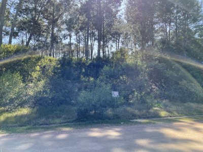 Terreno en Punta Ballena, Chihuahua