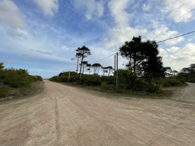 Terreno en Punta Ballena, Chihuahua