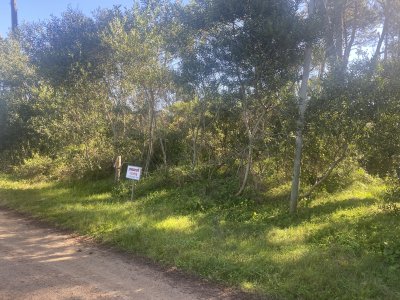 Terreno en Punta Ballena, Chihuahua