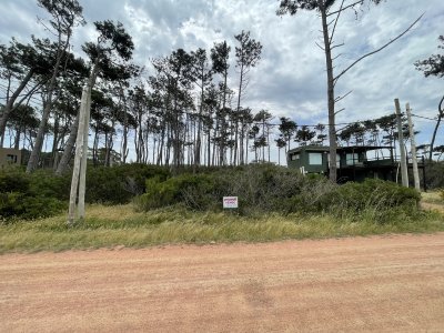 Terreno en Punta Ballena, Ocean Park