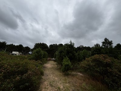 Terreno en Punta Ballena, Chihuahua