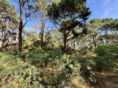 Terreno en Punta Ballena, Club del Lago