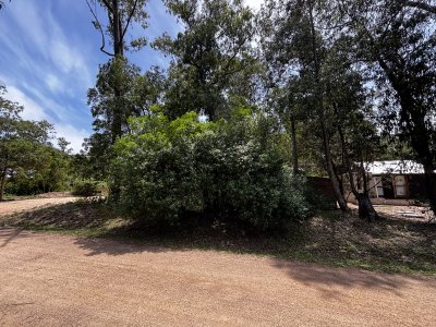 Terreno en Punta Ballena, Sauce de Portezuelo