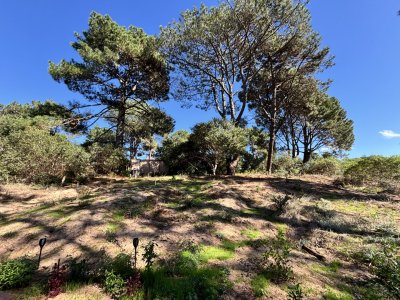 Terreno 1000 m2 en Chihuahua 