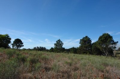 Terreno en Venta - El Pejerrey