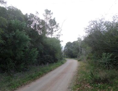 Punta Ballena -  Zona Rinconada