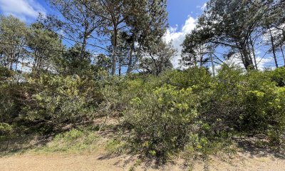 Terreno en Punta Ballena, Chihuahua