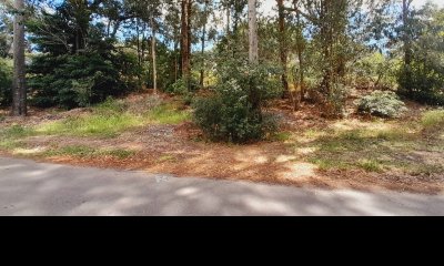 Terreno en Punta Ballena, Portezuelo Bosque